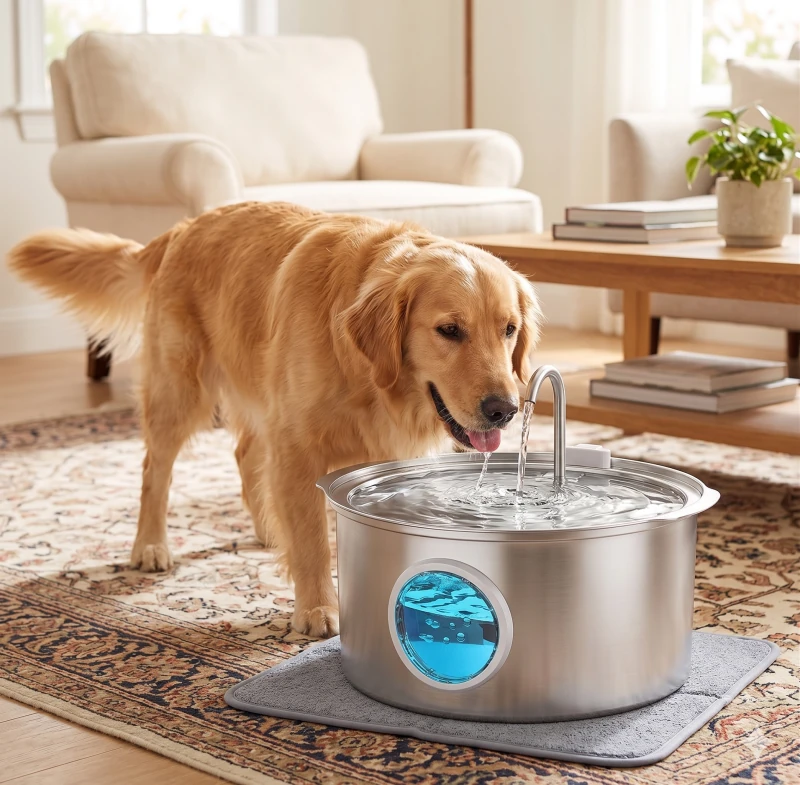 A happy dog actively drinking fresh, flowing water from a modern automatic pet water fountain in a home living room.